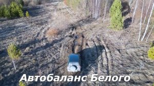 Лечу на ветер и деревья. Квадрокоптер DJI Mini 3 Pro (DJI RC).