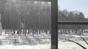 МИРА ТЕРМЫ. Сосновый бор г. Новосибирск