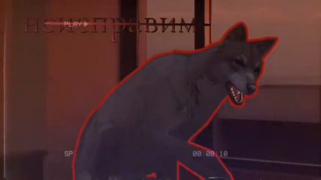 WCMV:пьяный романтик [¿original?]