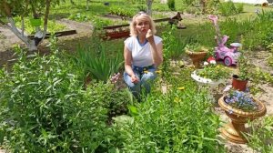 Медведка. Как бороться с медведкой. Как избавиться от медведки на своем участке