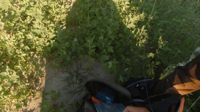 ЧЕХОНЬ И ЩУКА В ИЮЛЕ на спиннинг смотреть онлайн