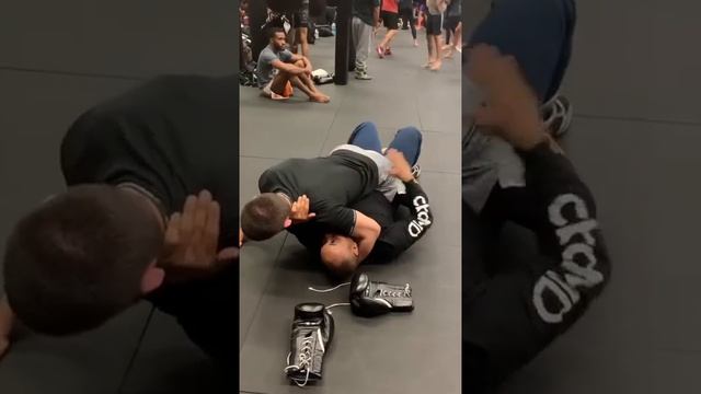 Хабиб готовится на бой смотреть онлайн