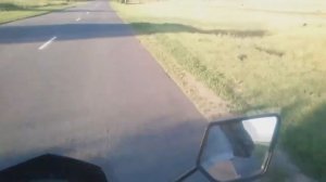 Racer Panther RC250GY-C2