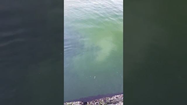 ? Вечернее море. Спокойное и красиво море вечером. Отдых на берегу.