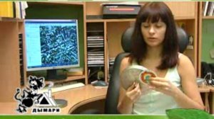 Калашникова Саша. Дымоходы.