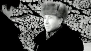 1986 год. Нягань. Работа леспромхоза.