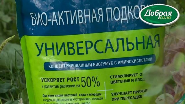Если забыл подкормить свеклу - биоактивная подкормка для овощей и ягод Добрая Сила