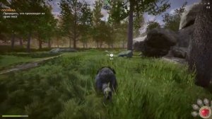 Енот против игра симулятор.