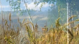 Родина  - Семейный творческий номер