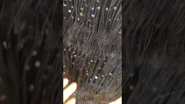 Один из вариантов нарядного комплекта #sewing смотреть онлайн