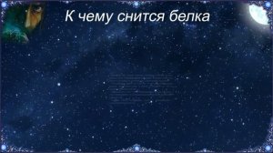 К чему снится Белка (Сонник)