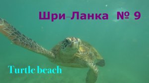 ШРИ-ЛАНКА🇱🇰 Мирисса. Turtle beach 🐢🏖️