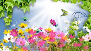 Футаж Летний Природа летом Сказочный фон