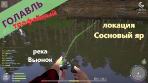 Русская рыбалка 4 - река Вьюнок - Голавль трофейный на вертушку