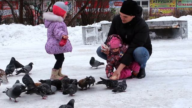 VLOG Нелли и Злата кормят Гули-гули Nelly and Zlata fed Guli-Guli. смотреть онлайн