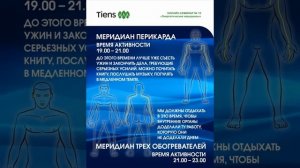 14 ролик — Разберемся, что такое перикард и поговорим о меридиане перикарда. Смотрим 14 ролик.