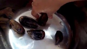 Как варить мидии свежие