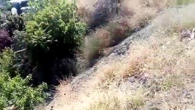 Дачный участок Алушта.