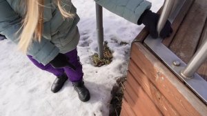 24 ЧАСА НА ГОРКЕ ПОЖИРАТЕЛЕ! БИЛЛИ ПРОПАЛ!
