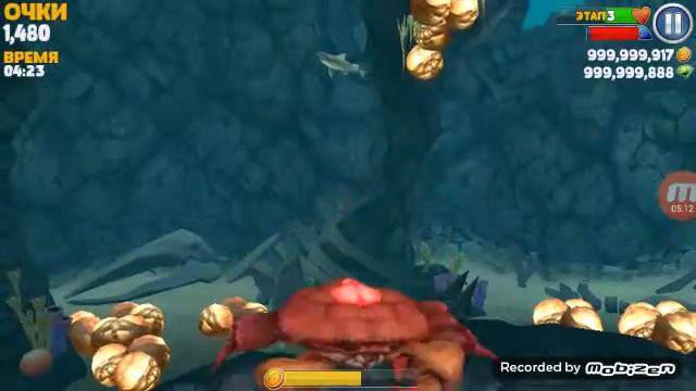 Hungry Shark #1 баг! смотреть онлайн