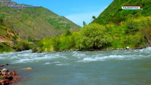 Табиати Точикистон / Природа Таджикистана / Nature of tajikistan