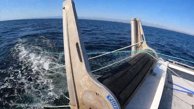 Как ловят камбалу (палтуса) . Рыбалка в Тихом океане. Halibut fishing