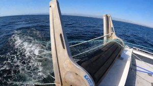 Как ловят камбалу (палтуса) . Рыбалка в Тихом океане. Halibut fishing