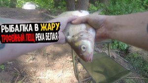 Рыбалка в жару на фидер и донки - Река Белая - Шашлык и Огромный Бонус Лещ