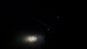 Хороший весенний вечер за налимом на реке, прокатился по Тайге на Ниве...