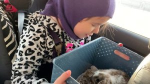 Мы купили кролика МАНИ.mp4