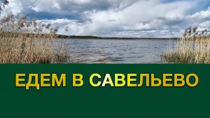 Почему участки  покупают  за 101 километром? Особенности покупательских предпочтений.