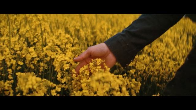 Рапсовое масло Olivia - Любимое растительное масло домашних поваров