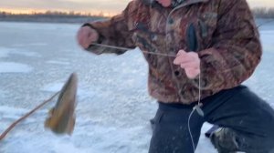 Рыбалка на налима Якутия Нюрба Вилюй