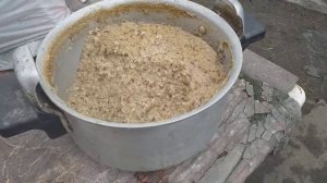 Состав каши для месячного телёнка-это мой личный рецепт.