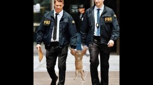 ? НЕУДЕРЖИМЫЕ КОТЫ ? _ Приколы с котами и собаками 2022 #13