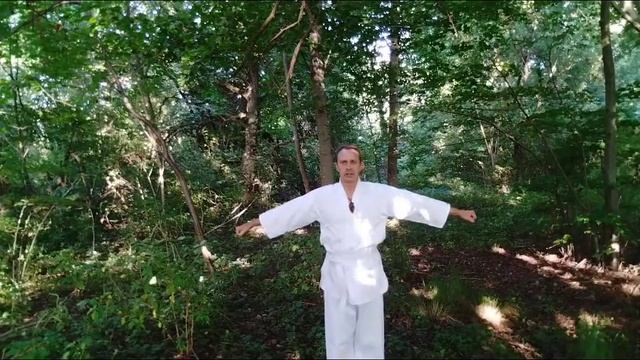 Руническая гимнастика.