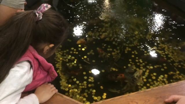 ВЛОГ Празднуем Первый зубик Братика и юбилей Дедушки /Наши веселые будни/Прогулка в парке/Atamhatik смотреть онлайн