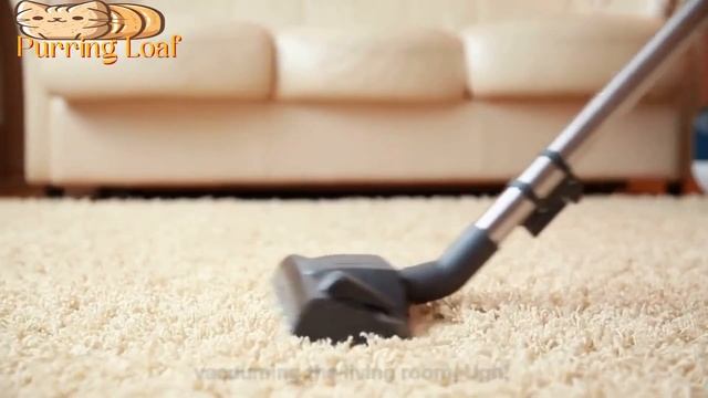 These 10 Everyday Things Hurt Your Cat EMOTIONALLY! смотреть онлайн