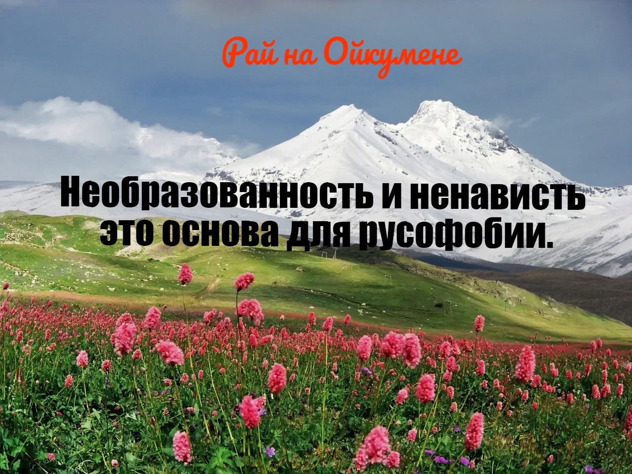 Необразованность и ненависть это основа для русофобии..