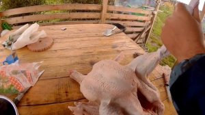 Забой индюшек //бройлерный индюк Bronza708// Первые итоги/ Мое хозяйство