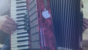 The Hatters - Зима ( Accordion cover ) | Шляпники