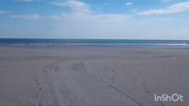 Лена Хеппи переехала. Балдеет у Софие. Кристина Мотиватор тусуется в Палм-Сптингс, изображая успех. смотреть онлайн