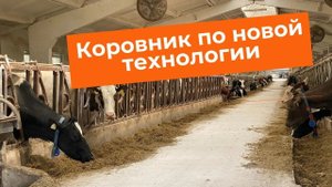 Строительство коровника по новой технологии