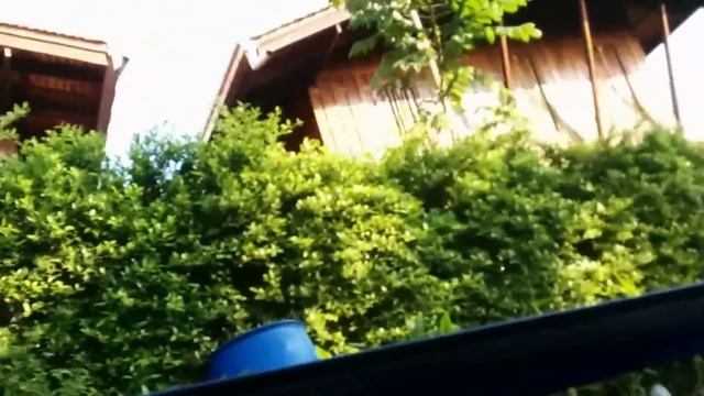 Тайланд, пров. Ратчабури, Плавучий рынок Дамноен Садуак: 14 нояб 2015 смотреть онлайн