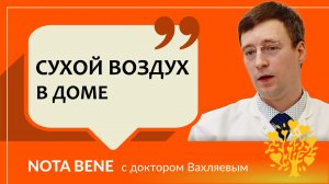 Сухой воздух дома: как он влияет на здоровье и каким способом поддерживать влажность?