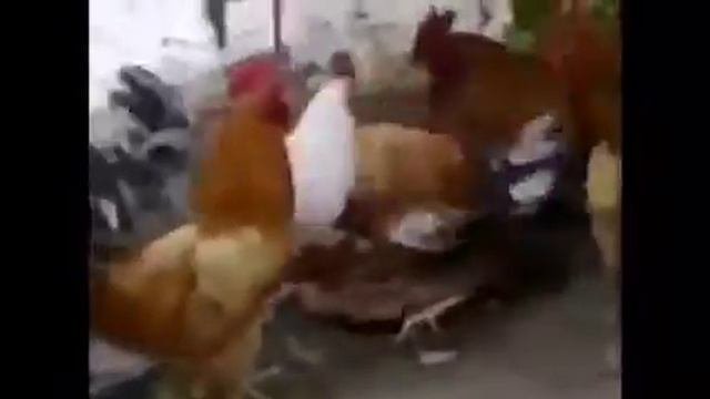 Групповуха