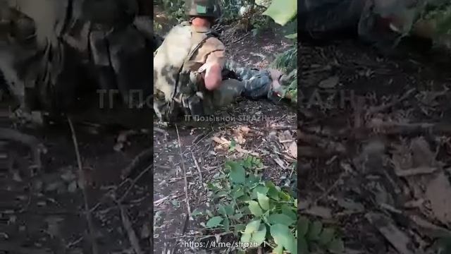 Взяли в плен всу. смотреть онлайн