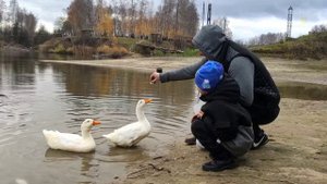 Зарядка для уточек