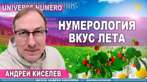 Нумерология. Вкус Лета - Андрей Киселев - Гостевой вечер