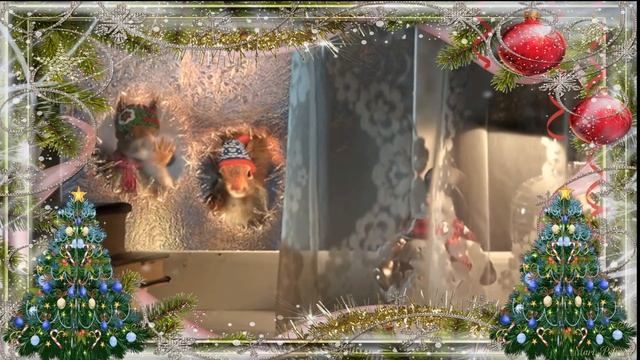 Новогодние белочки